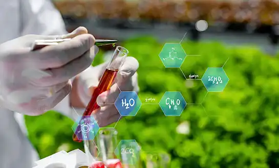 Micronutrients Fertilizer: Enhancing Mineral Uptake Through Natural Peptide Chelation